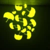 详情 (10) performance projection light